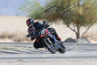 media/Oct-13-2025-Moto Forza (Mon) [[a66d839500]]/3-B Group/Session 4 Turn 4 Tree of Life/